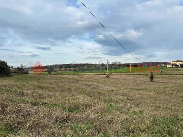 Terreno in vendita a Collesalvetti, Toscana
