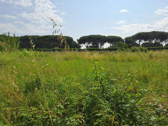 Terreno in vendita a Collesalvetti, Toscana