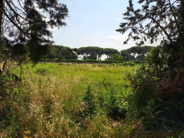 Terreno in vendita a Collesalvetti, Toscana