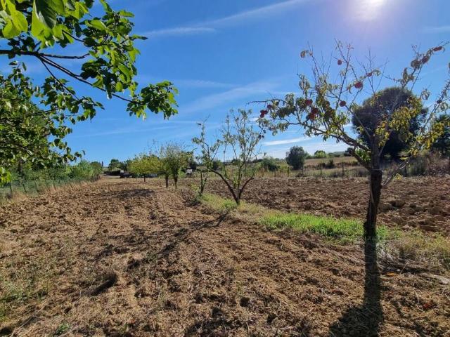 Terreno in vendita a Collesalvetti, Toscana
