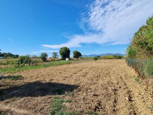 Terreno in vendita a Collesalvetti, Toscana