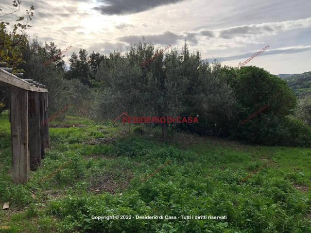 Terreno in vendita a Collesano, Sicilia