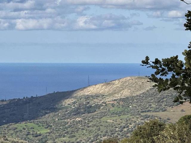 Terreno in vendita a Collesano, Sicilia