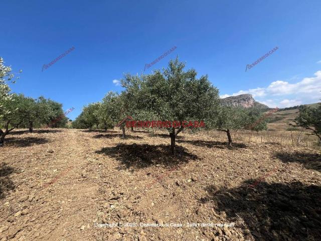 Terreno in vendita a Collesano, Sicilia