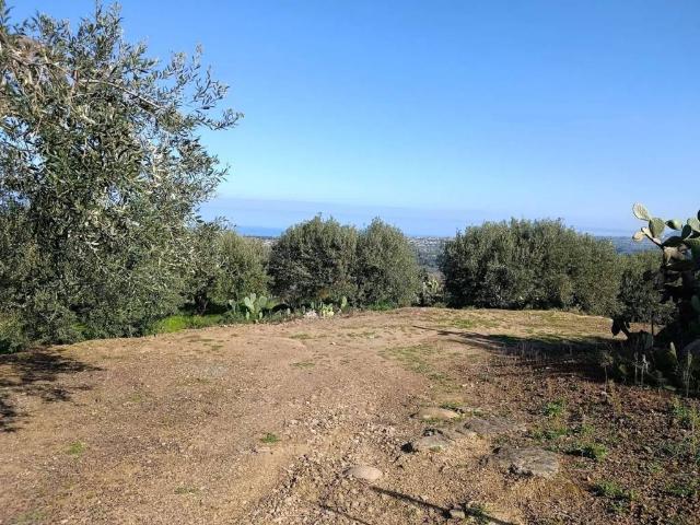 Terreno in vendita a Collesano, Sicilia