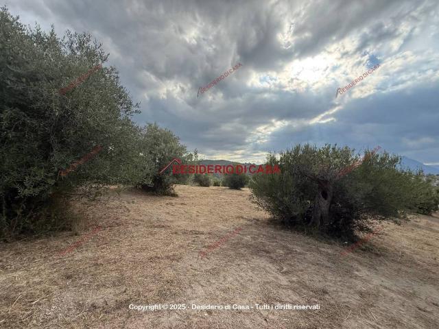 Terreno in vendita a Collesano, Sicilia