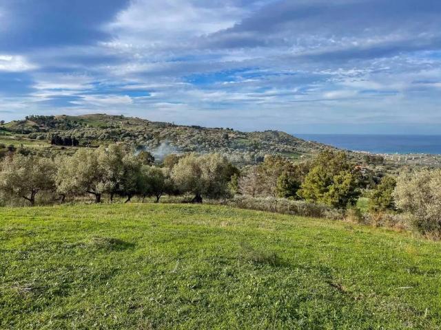 Terreno in vendita a Collesano, Sicilia