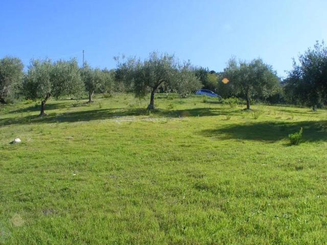 Terreno in vendita a Collesano, Sicilia