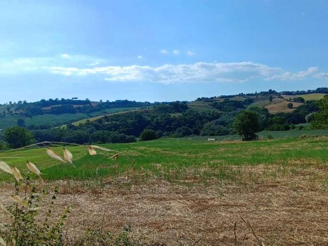 Terreno in vendita a Collevecchio, Lazio