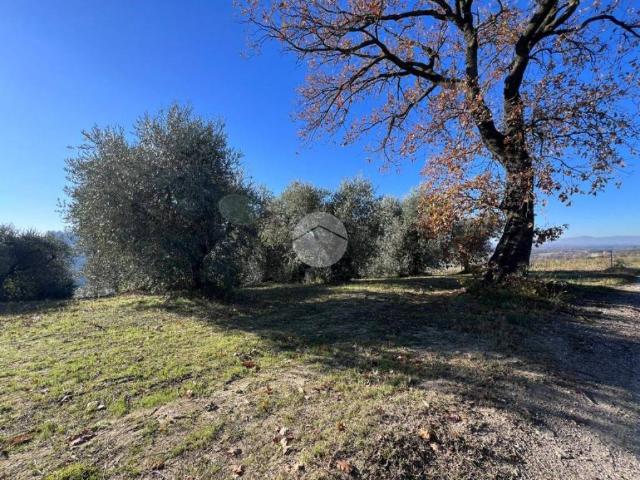 Terreno in vendita a Collevecchio, Lazio
