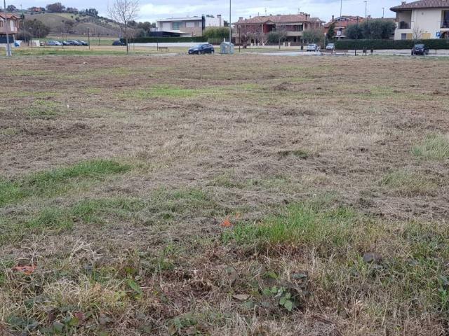 Terreno in vendita a Colli al Metauro, Marche