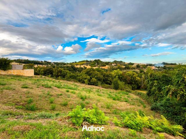 Terreno in vendita a Colli al Metauro, Marche