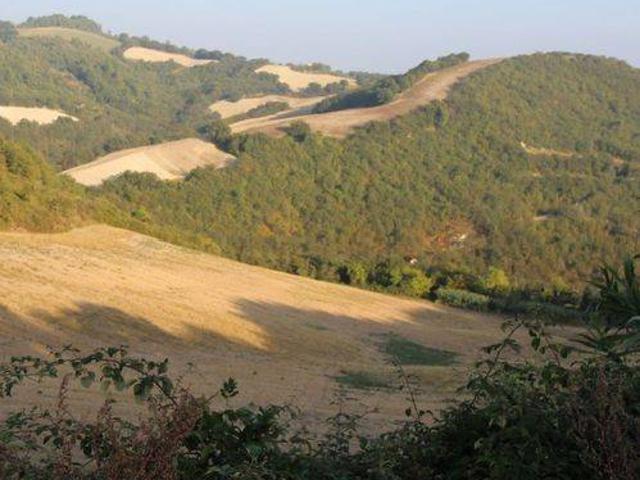 Terreno in vendita a Colli al Metauro, Marche