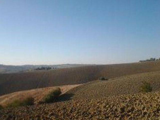 Terreno in vendita a Colli al Metauro, Marche