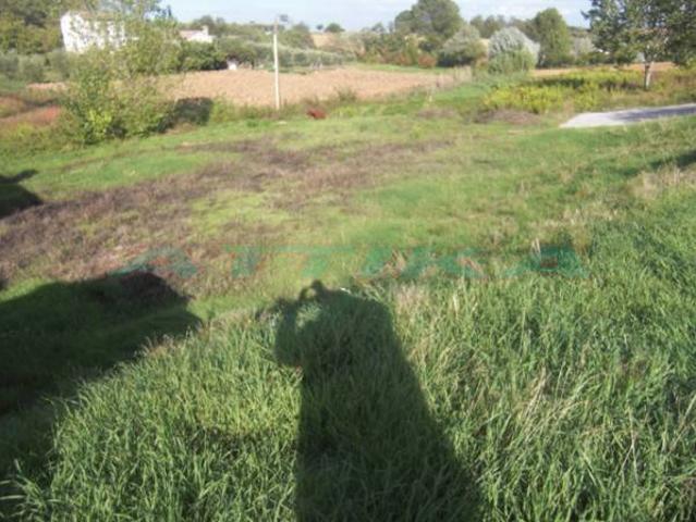 Terreno in vendita a Colli al Metauro, Marche
