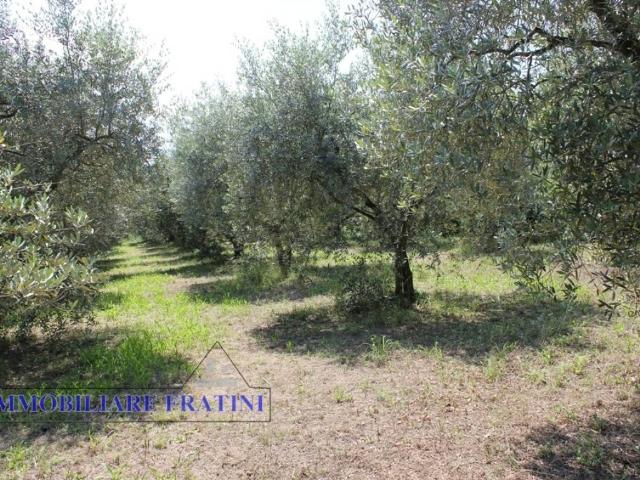 Terreno in vendita a Marche, Ascoli Piceno