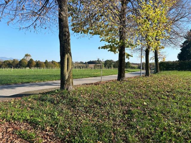 Terreno in vendita a Colloredo Di Montalbano, Friuli-Venezia Giulia