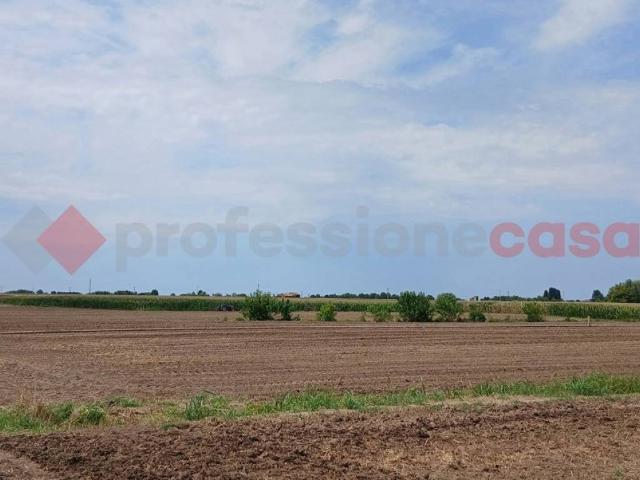 Terreno in vendita a Cologna Veneta, Veneto