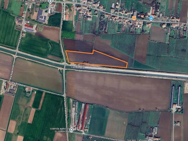 Terreno in vendita a Cologna Veneta, Veneto