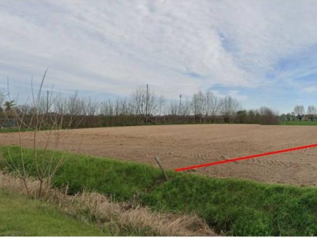 Terreno in vendita a Cologna Veneta, Veneto