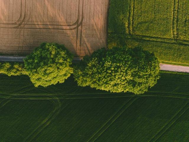 Terreno in vendita a Cologno Al Serio, Lombardia