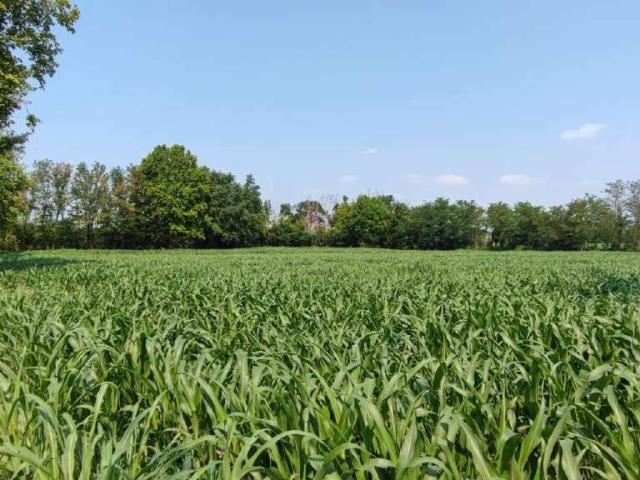 Terreno in vendita a Cologno Al Serio, Lombardia