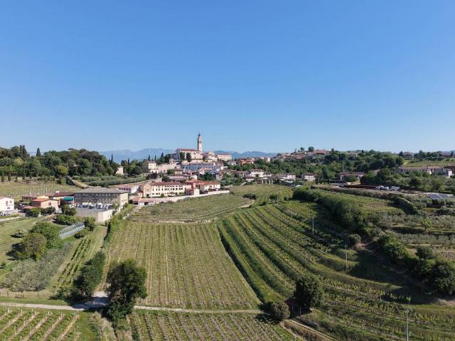 Terreno in vendita a Monte, Colognola Ai Colli