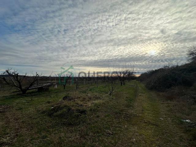 Terreno in vendita a Lavagno, Colognola Ai Colli