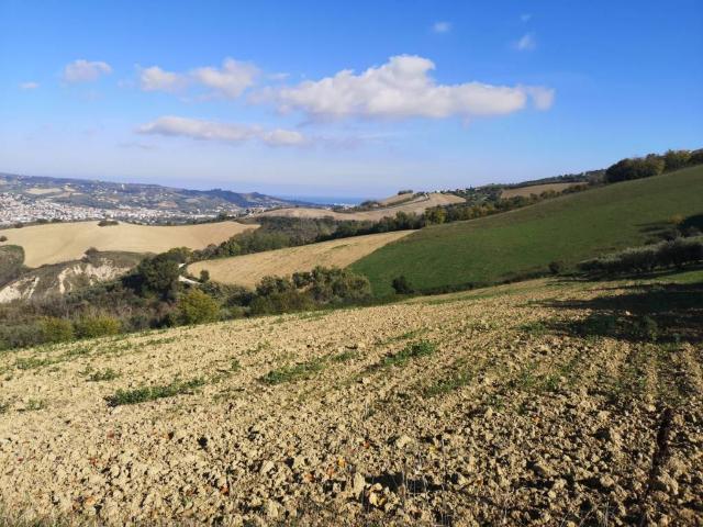 Terreno in vendita a Unione dei Comuni della Val Vibrata, Colonnella