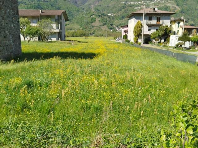 Terreno in vendita a Colorina, Lombardia