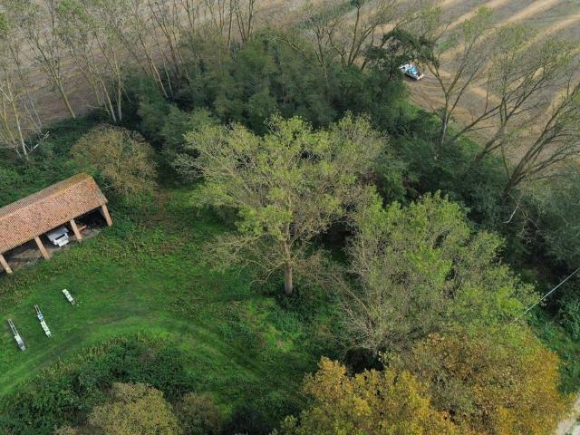 Terreno in vendita a Comacchio, Reggio Emilia