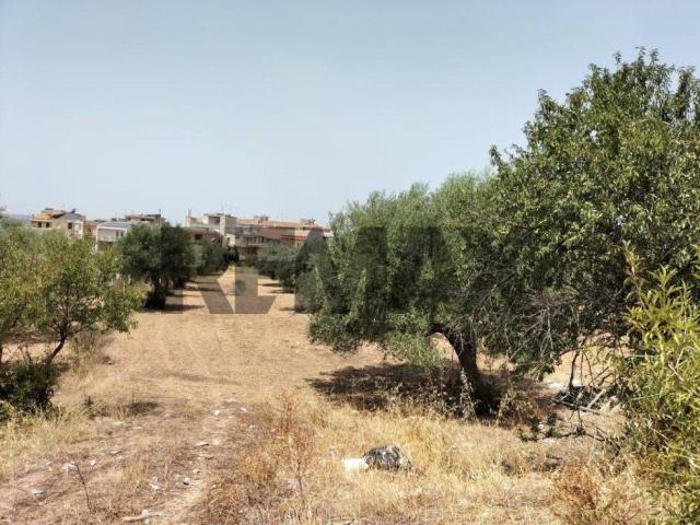 Terreno in vendita a Comiso, Sicilia