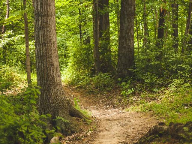 Terreno in vendita a Garzola, Como