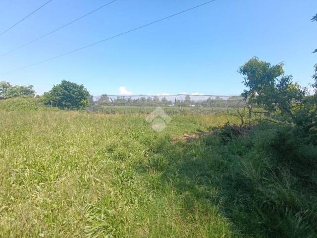 Terreno in vendita a Comun Nuovo, Lombardia