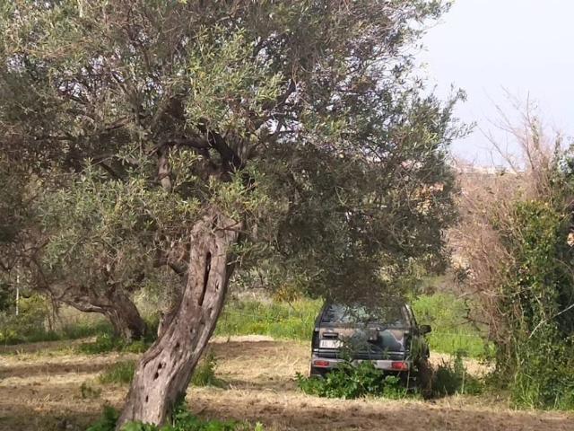 Terreno in vendita a Condrò, Sicilia