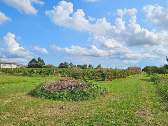 Terreno in vendita a Conegliano, Veneto