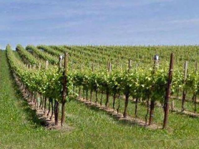 Terreno in vendita a Conegliano, Veneto