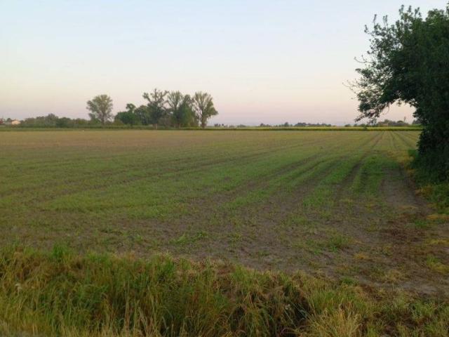 Terreno in vendita a Conselice, Reggio Emilia