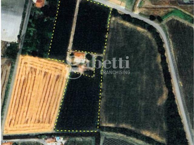 Terreno in vendita a Conselve, Veneto
