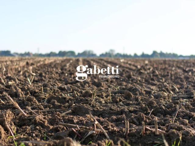 Terreno in vendita a Conselve, Veneto