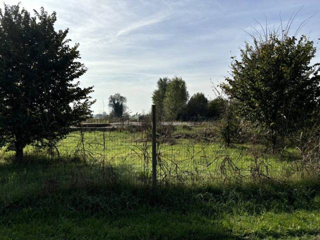 Terreno in vendita a Conselve, Veneto