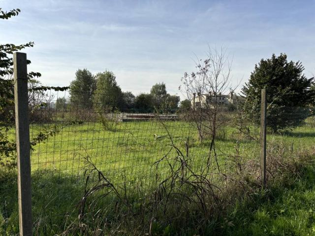 Terreno in vendita a Conselve, Veneto