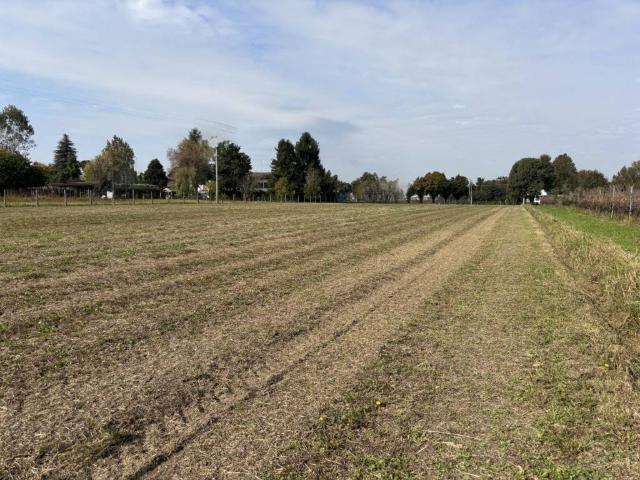 Terreno in vendita a Conselve, Veneto