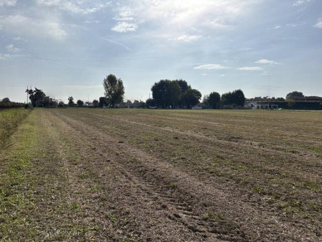 Terreno in vendita a Conselve, Veneto