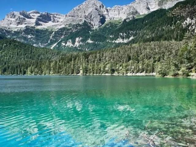 Terreno in vendita a Comunità della Val di Non, Flavon