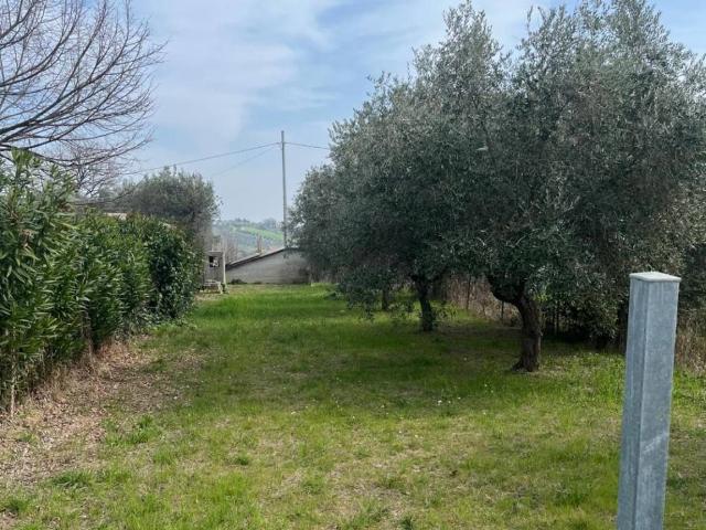 Terreno in vendita a Unione dei Comuni della Val Vibrata, Controguerra
