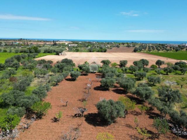 Terreno in vendita a Puglia, Bari