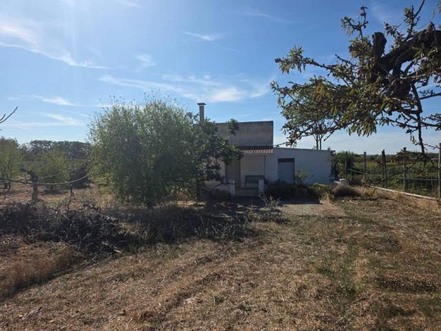 Terreno in vendita a Puglia, Bari