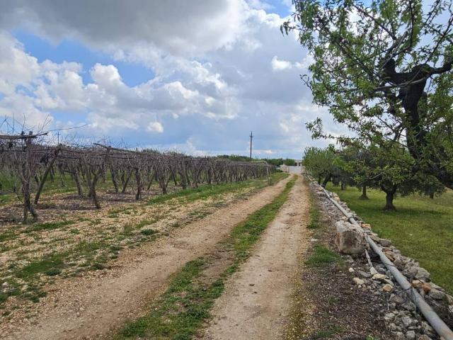 Terreno in vendita a Puglia, Bari