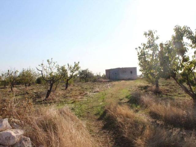 Terreno in vendita a Puglia, Bari